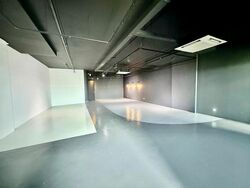 Vertex (D14), Factory #504167431